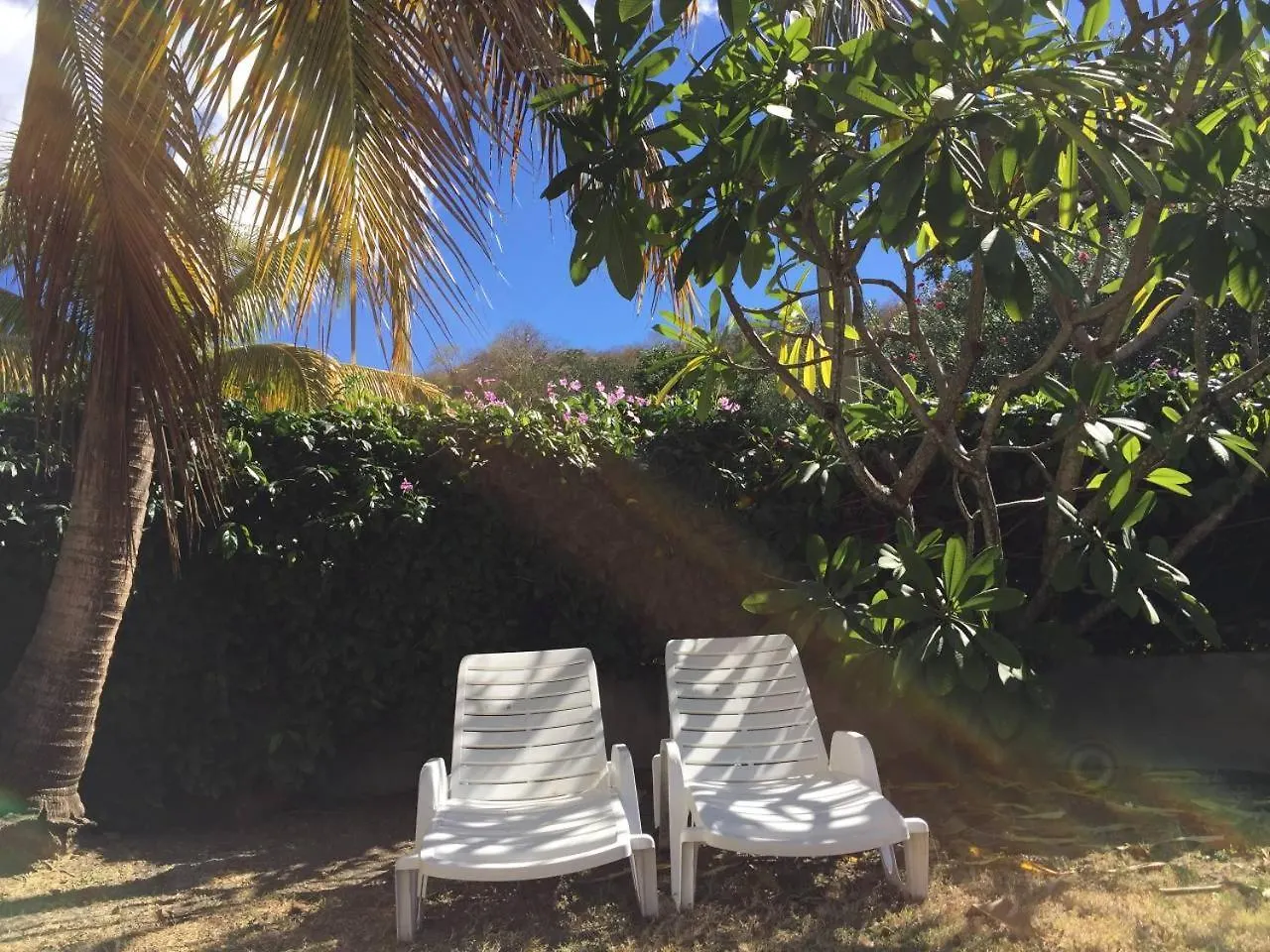 T2 Tropical En Bord De Piscine A 100M De La Mer Apartment Le Carbet Martinique